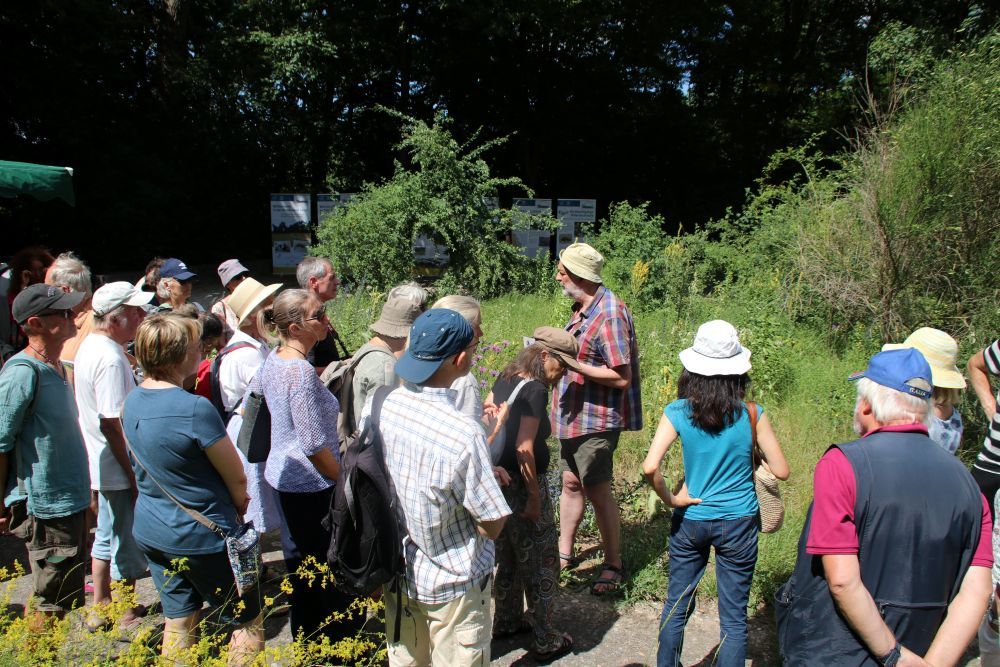 Foto: Wolfgang Dötsch