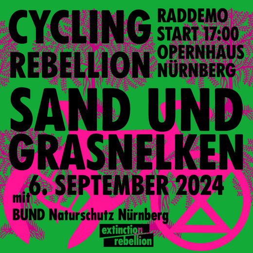 Plakat Sand und Grasnelken