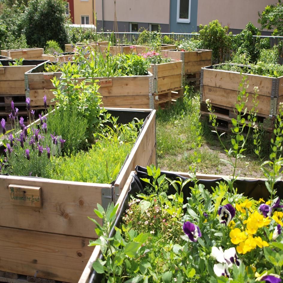 Beete im Sebalder Hofgärtchen