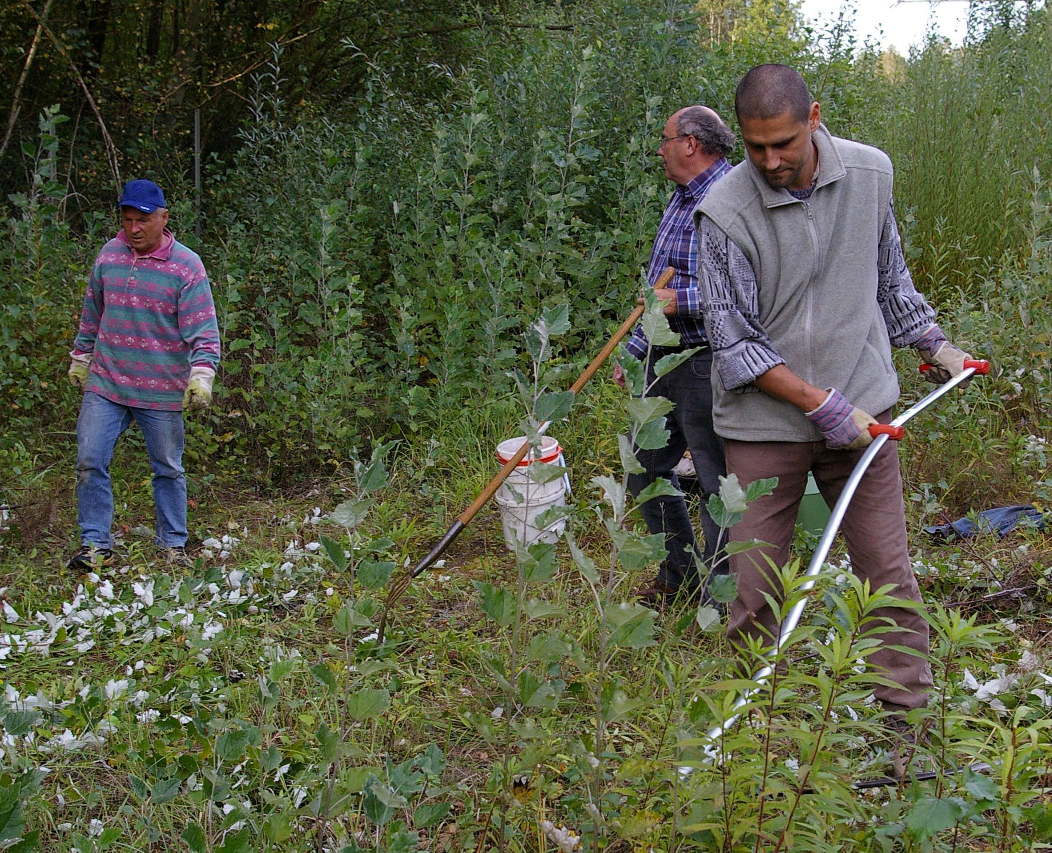 Biotoppflege mit der Sense Biotoppflege mit der Sense