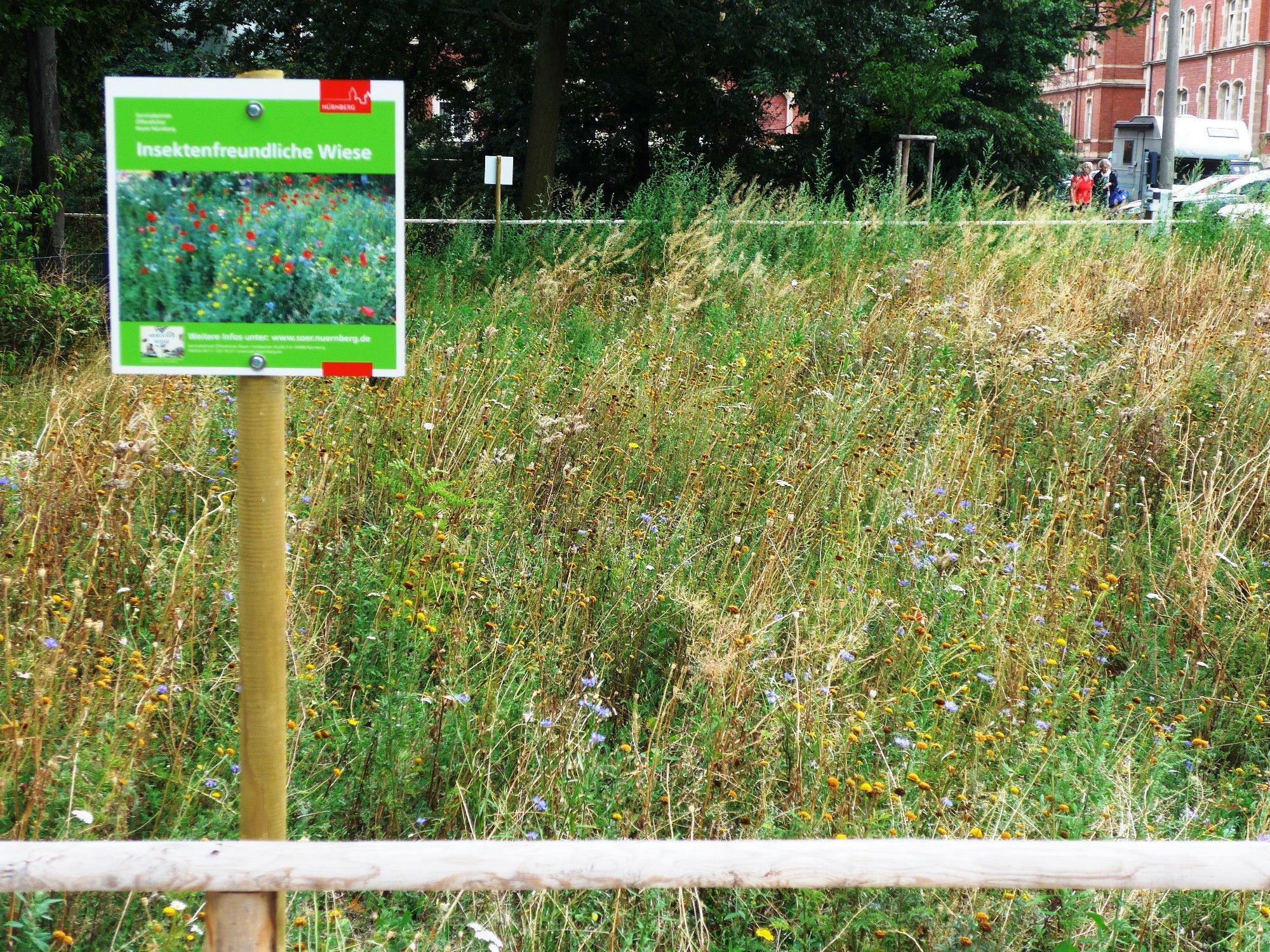 Blumenwiese mit Hinweisschild
