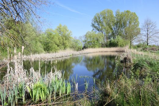 Fahrradtour durchs Knoblauchsland