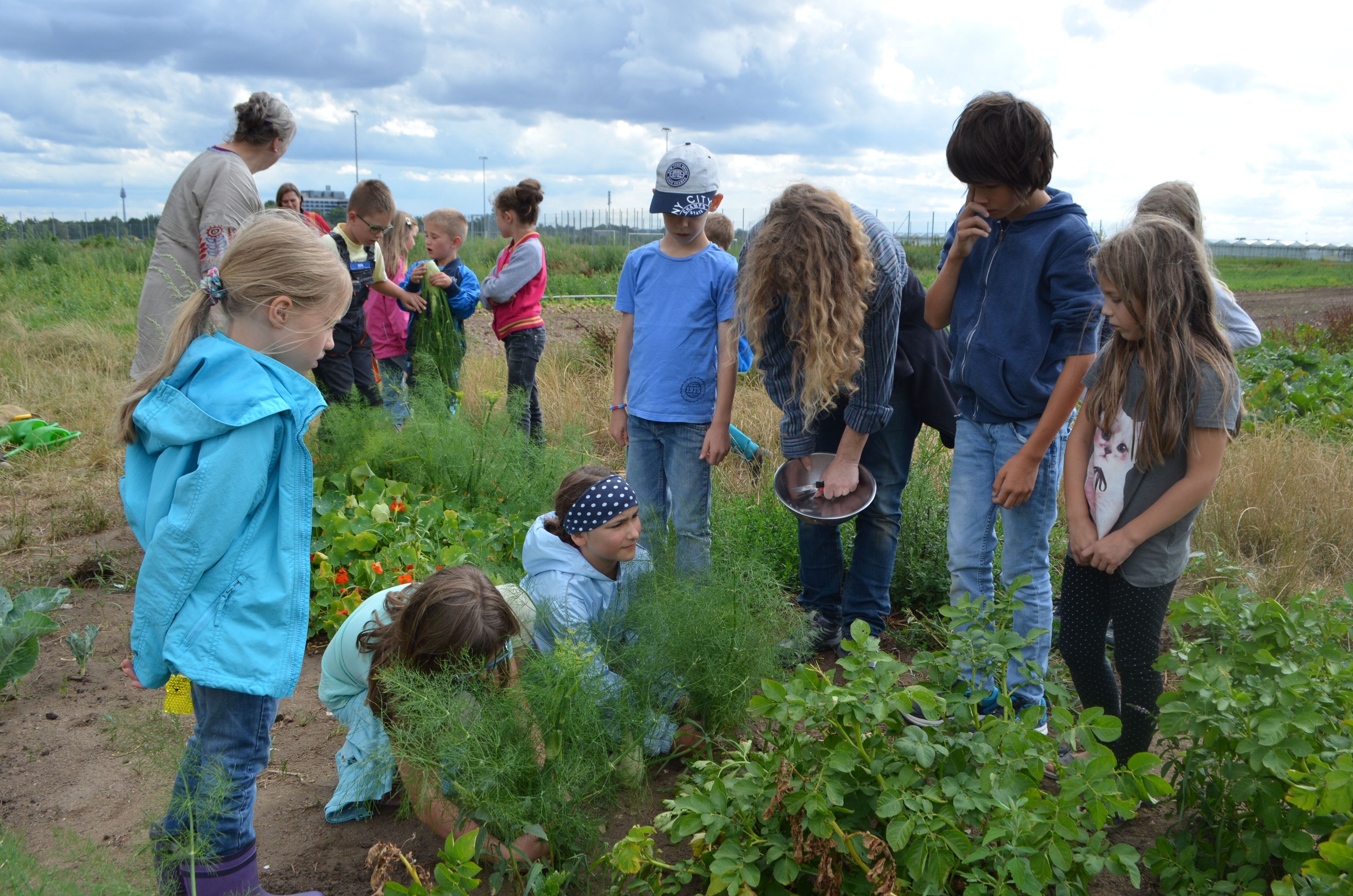 Gemüseacker-Kindergruppe