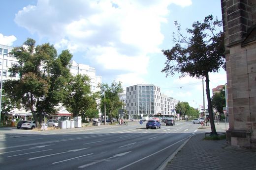 verbliebener Ahorn an der Peterskirche