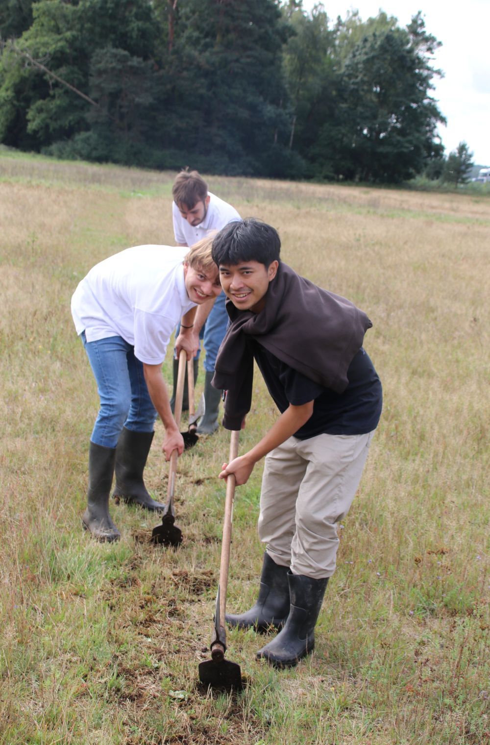 Pressetermin Sand-Strohblume: Schaeffler-Azubis