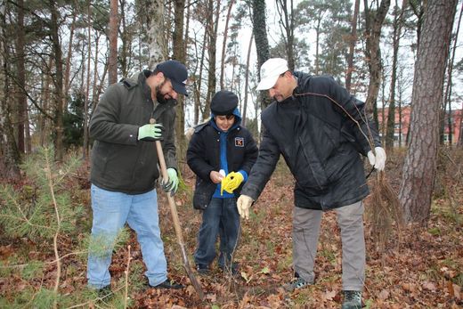 Aufforstung Kornburg 5 (Foto: Wolfgang Dötsch)