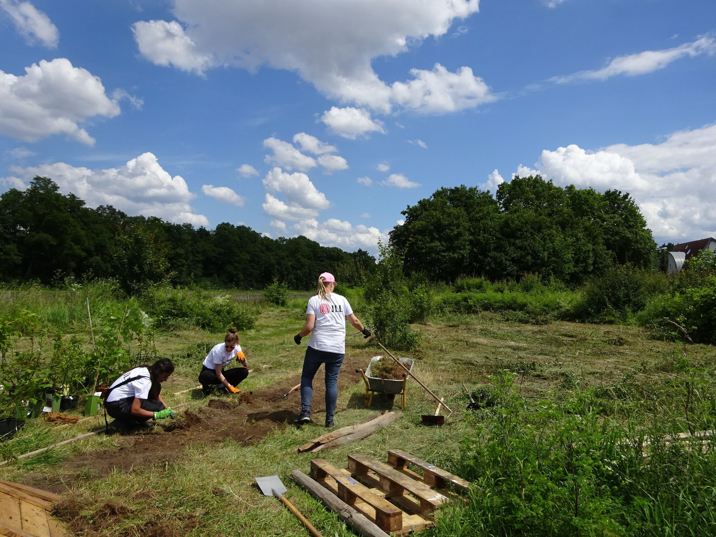 Beet anlegen Beet anlegen