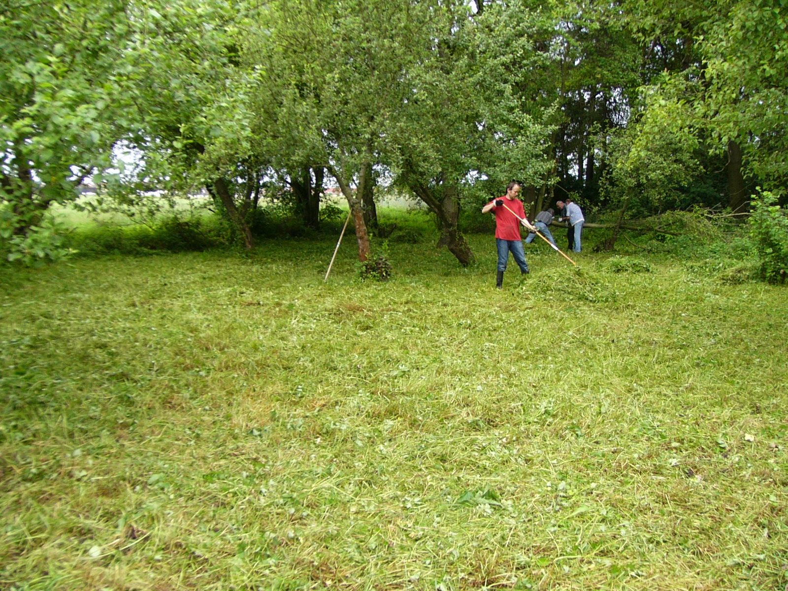 Mahd der Streuobstwiese Mahd der Streuobstwiese