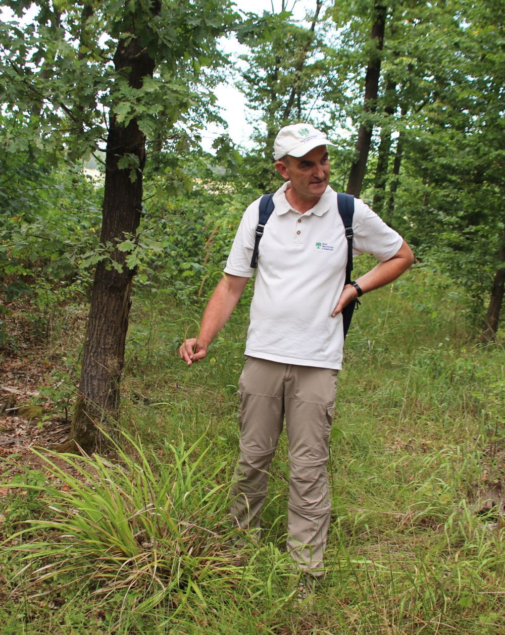 Wolfgang Dötsch zeigt Carex pendula