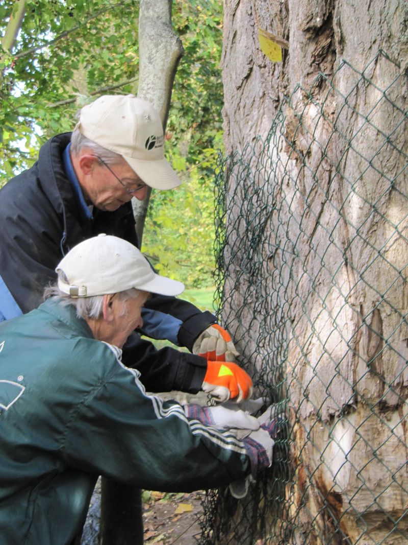 BiberTaskforce im Einsatz BUND Naturschutz in Bayern e.V.