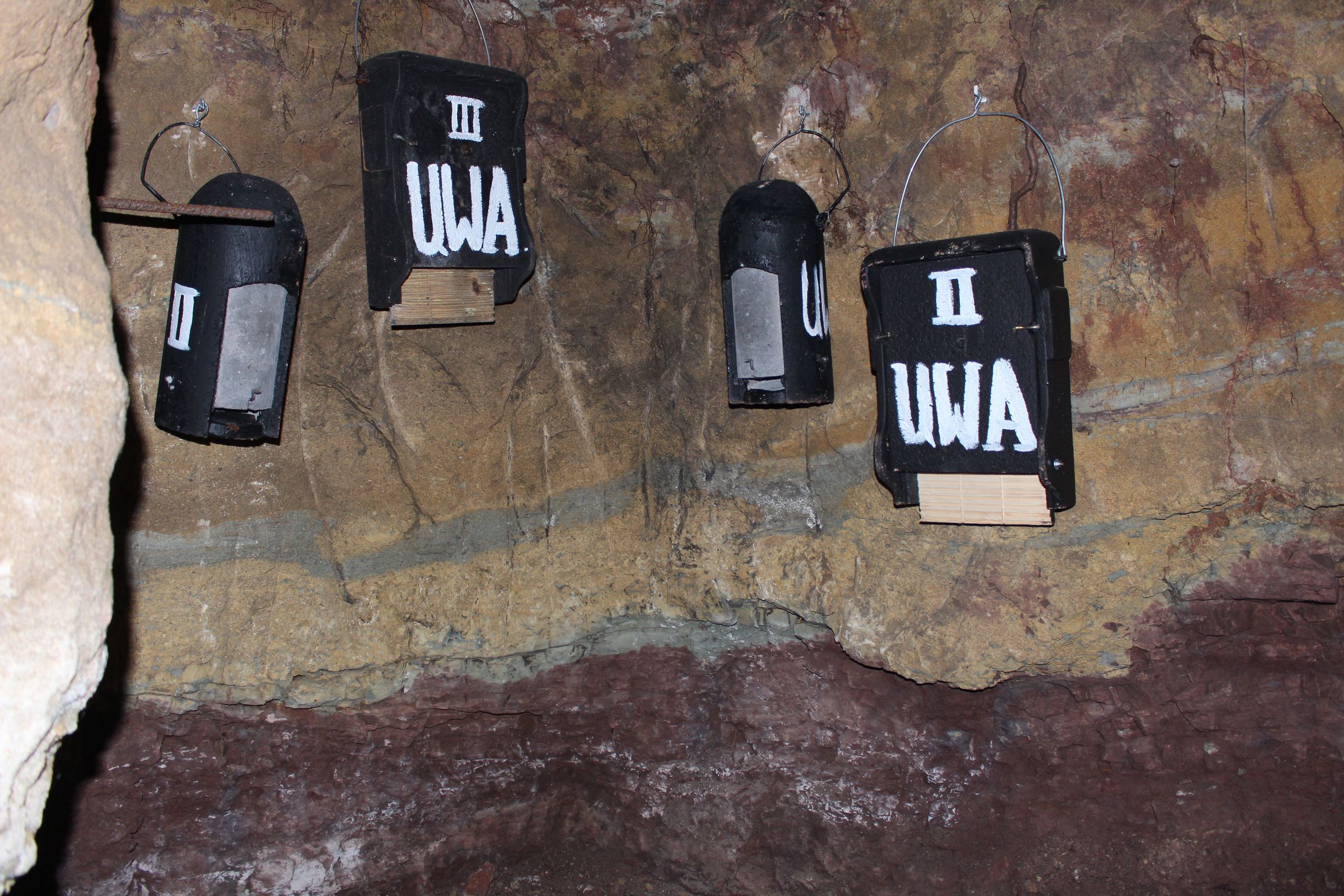 Fledermauskeller Krottenbach Fledermauskeller Krottenbach