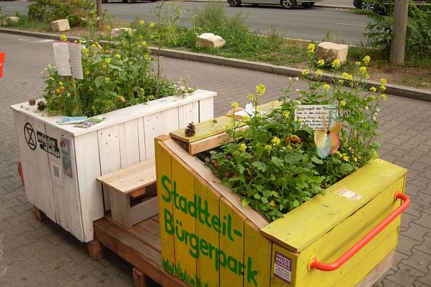 Erstbepflanzung