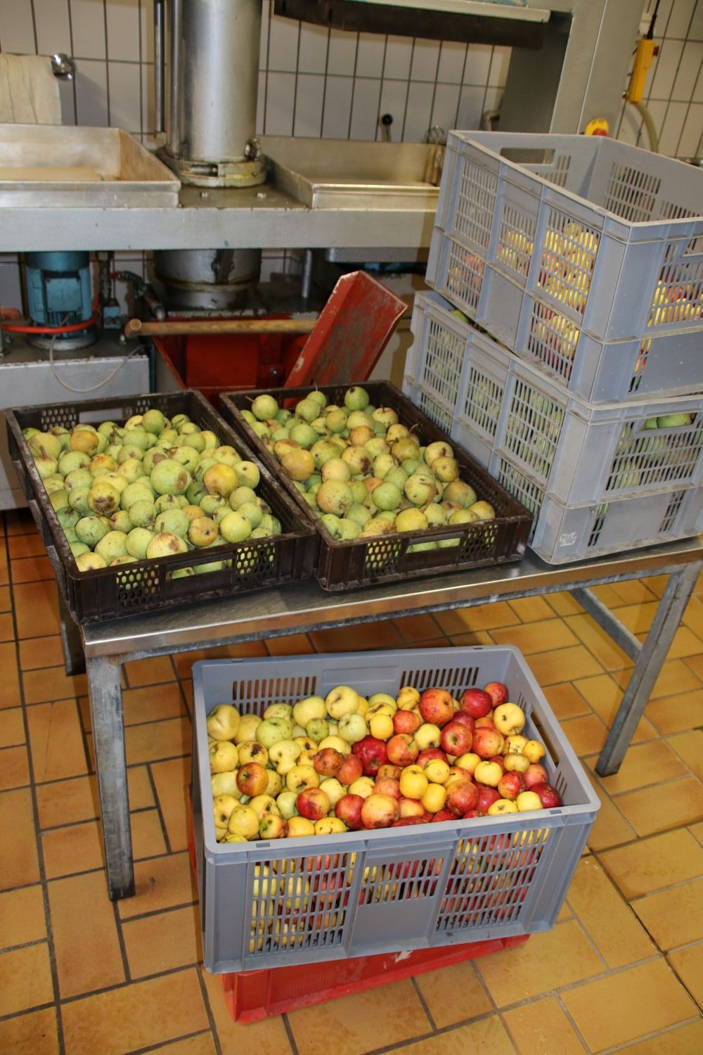 Äpfel in Kisten (Foto: Wolfgang Dötsch) Äpfel in Kisten