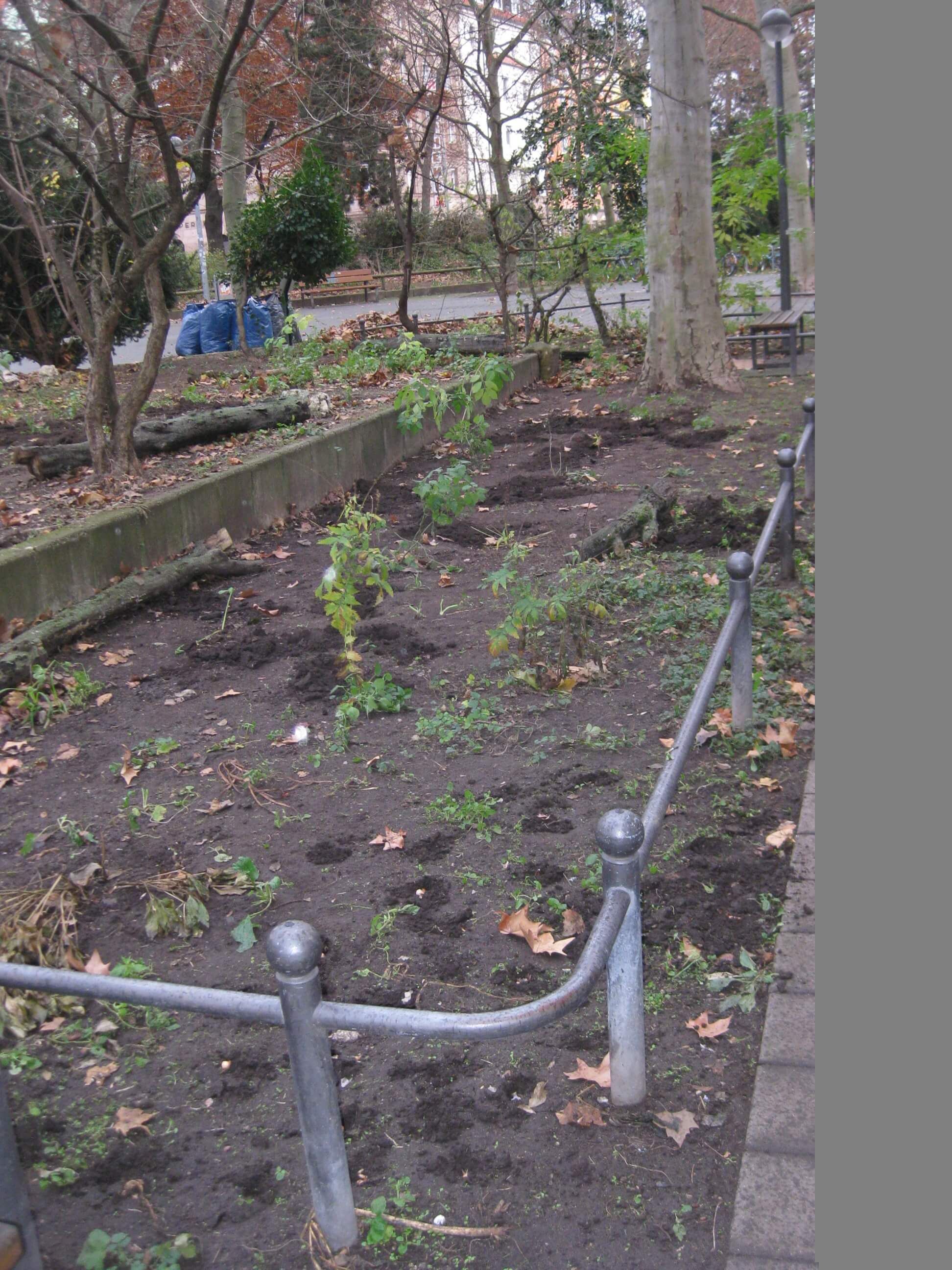 Foto: Ingrid Treutter