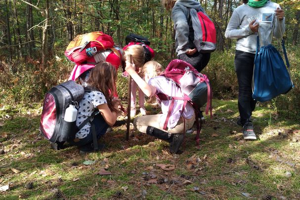 Kinder erforschen die Natur