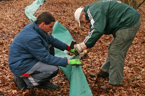 Aufbau des Krötenzauns am Dutzendteich