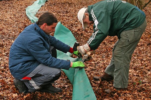 Aufbau des Krötenzauns am Dutzendteich