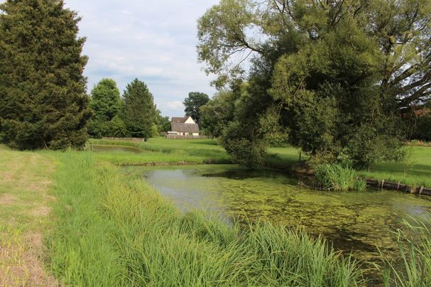 Teiche in Krottenbach