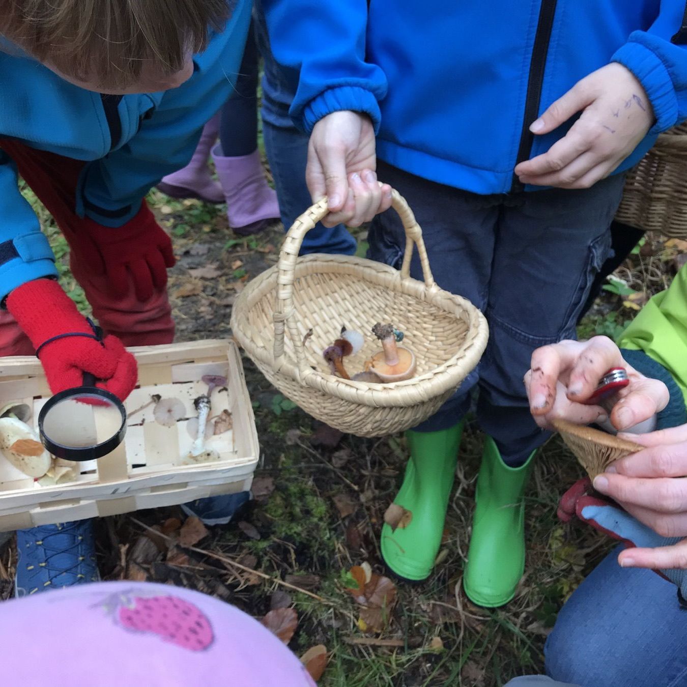 Artenkennerkids Pilzpirsch