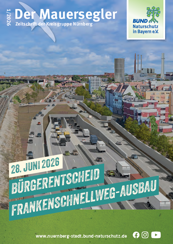 Mauersegler 1/2026 Mauersegler 1/2026