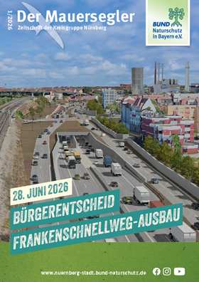 Mauersegler 1/2026