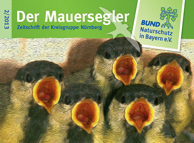 Titelbild Mauersegler