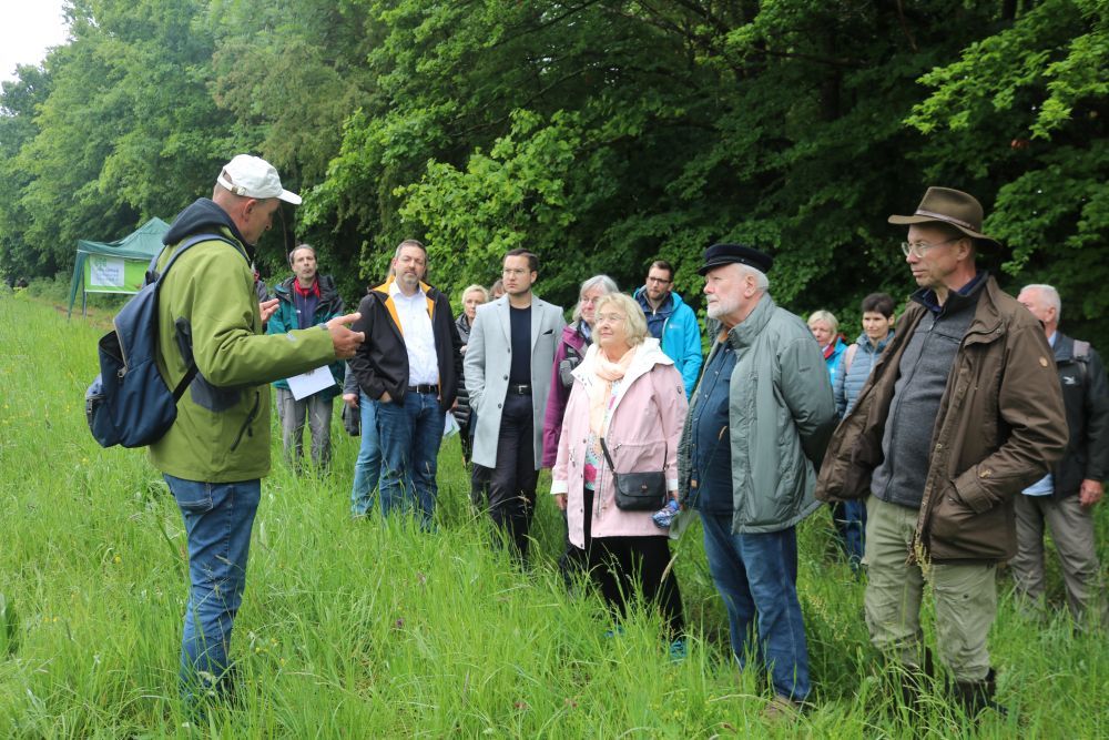 Vorstellung der Orchideenwiese (Foto: Ingo Klose) Vorstellung der Orchideenwiese