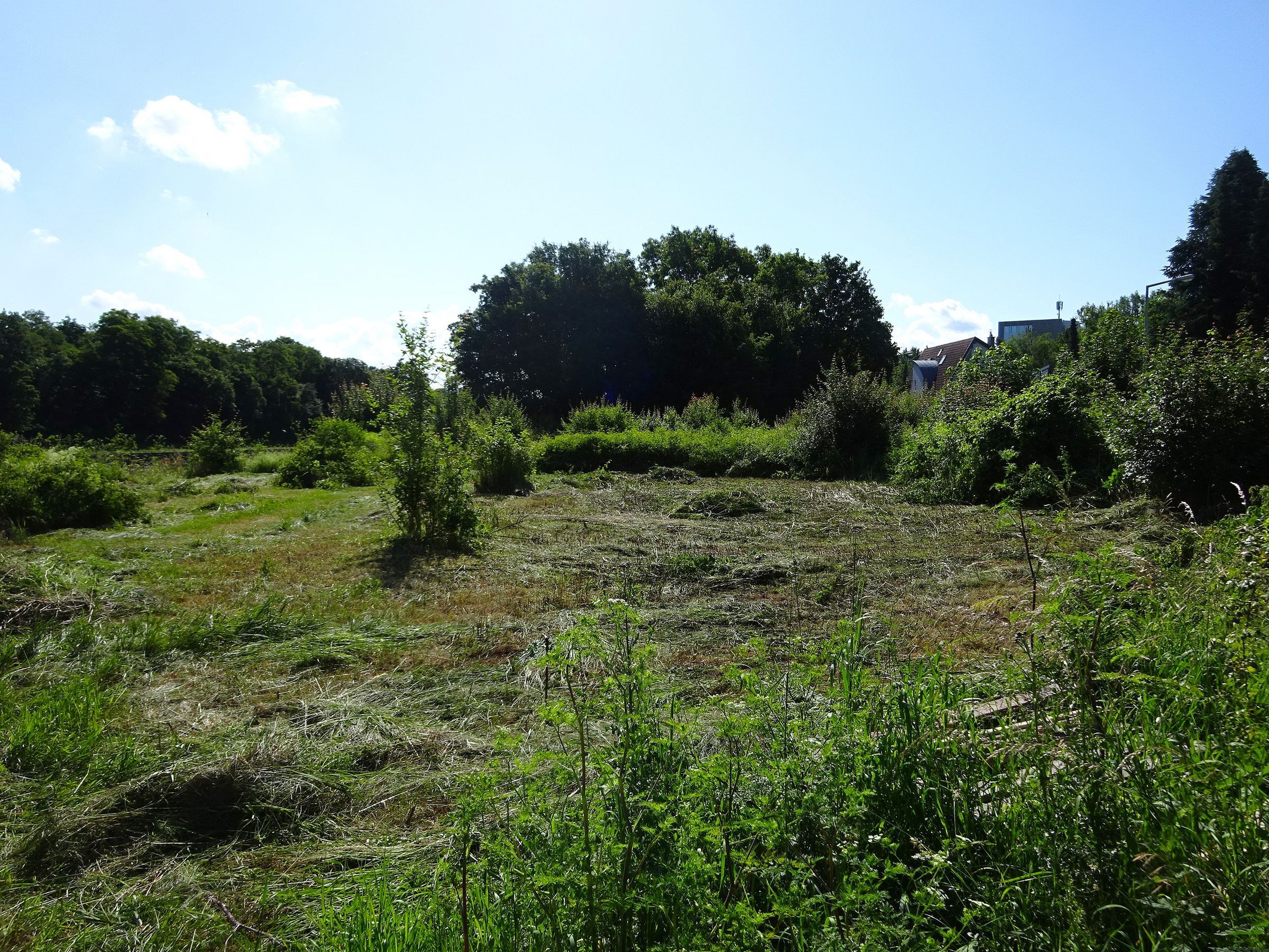 Gelände zuvor Gelände zuvor