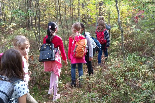 Auf in den Wald!