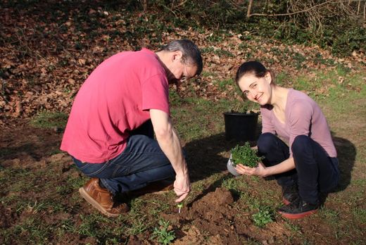 Wöhrder Wiese Sandterrasse (Foto: Wolfgang Dötsch)