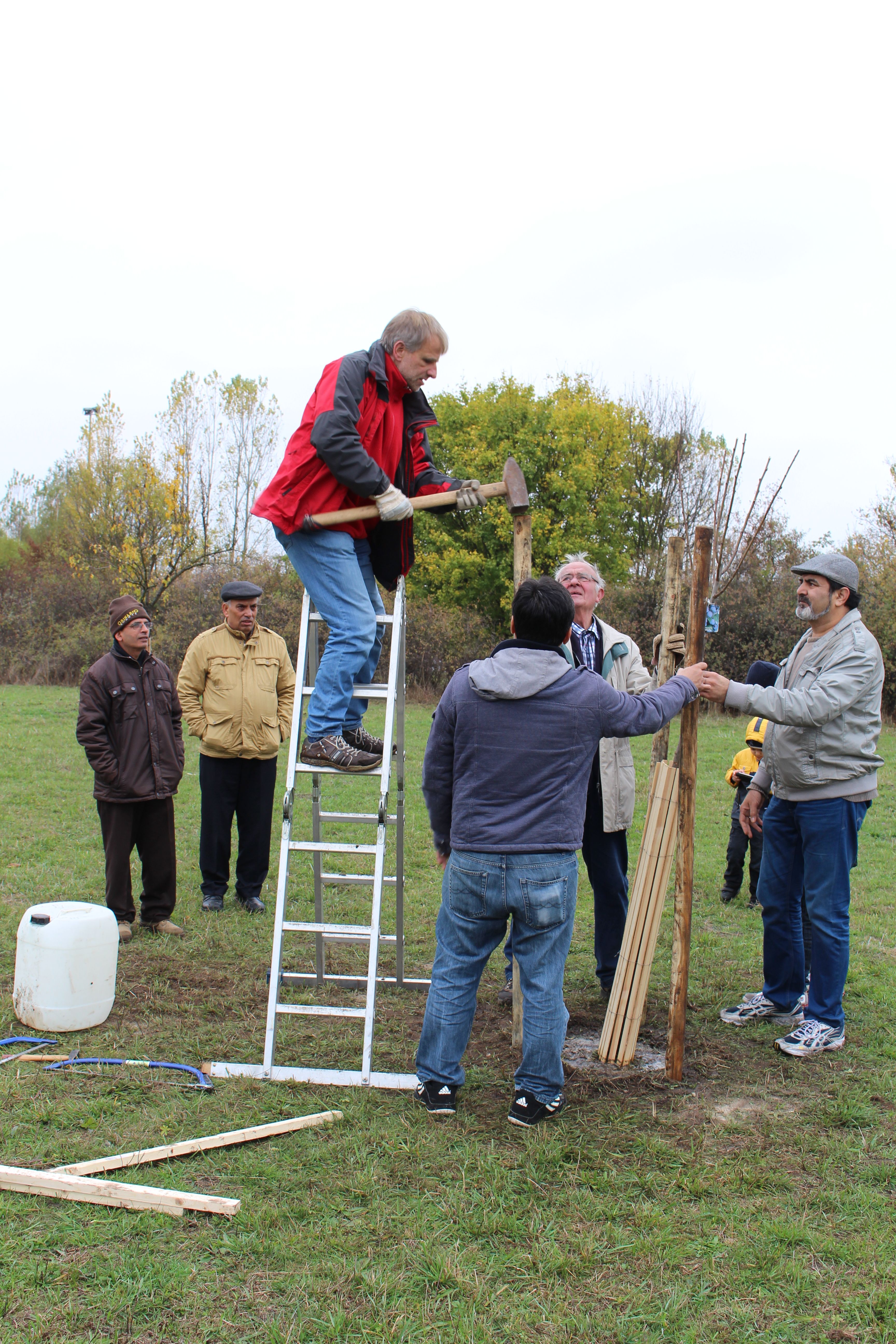 Obstbaumpflanzung Obstbaumpflanzung
