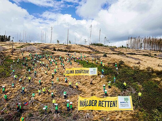 Waldsterben 2.0 im Frankenwald