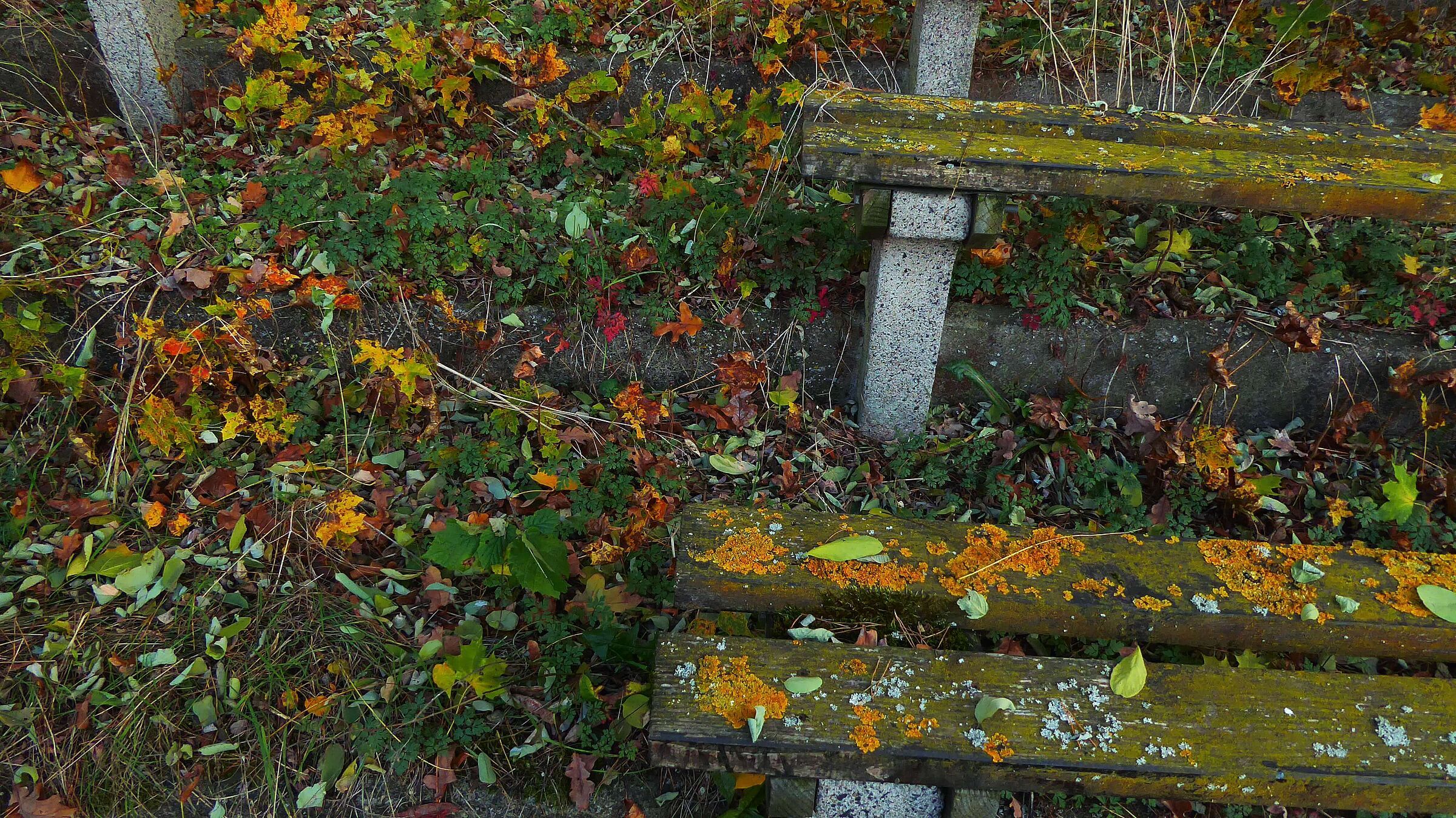 Foto: Hiltrud Gödelmann