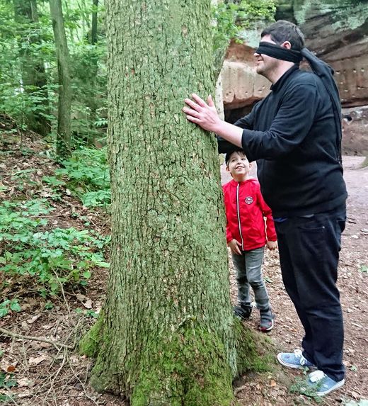 Vater findet Baum (Foto: S. Dörlitz)
