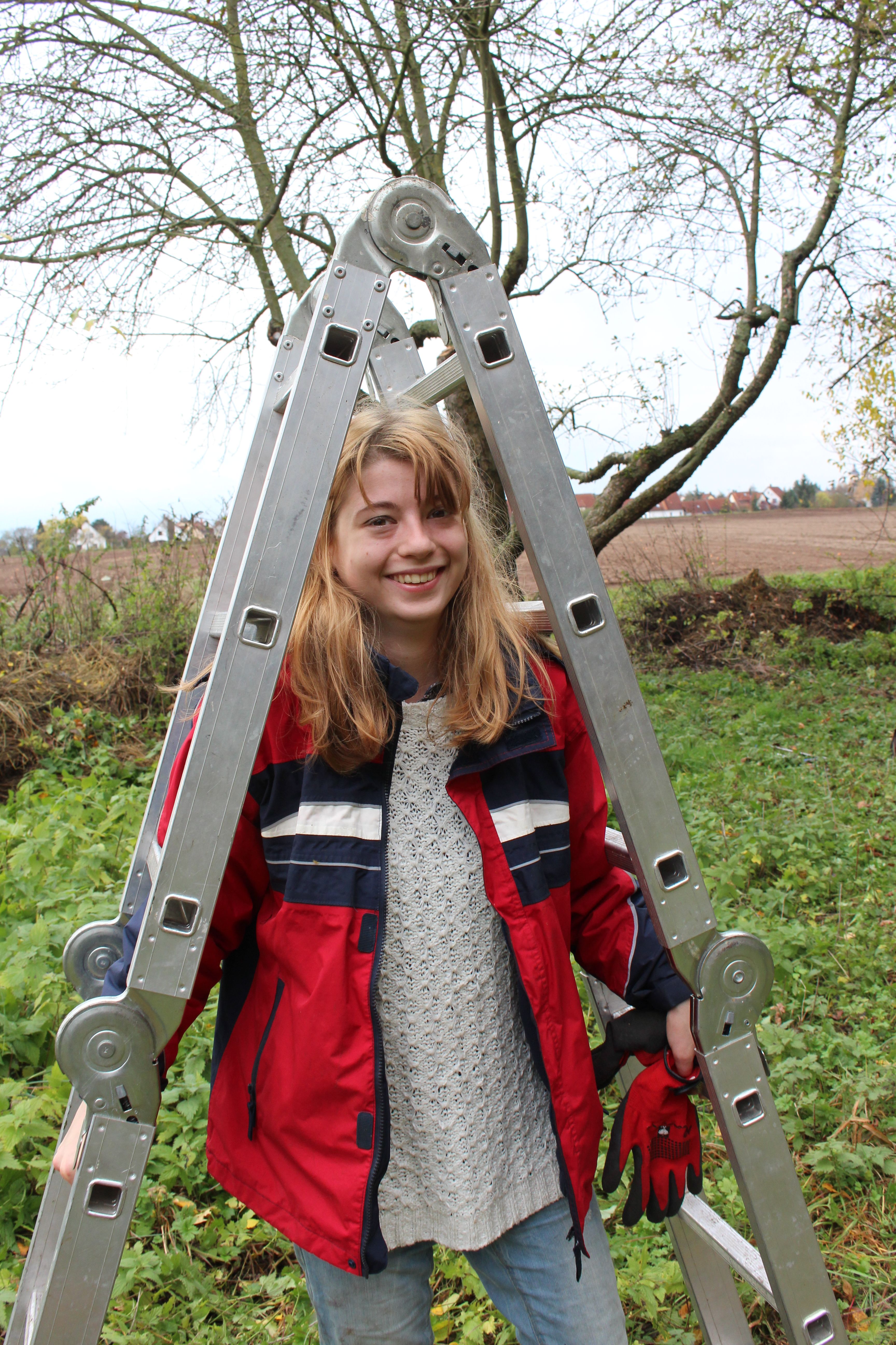 BuFDi Zlata bei der Arbeit BuFDi Zlata bei der Arbeit