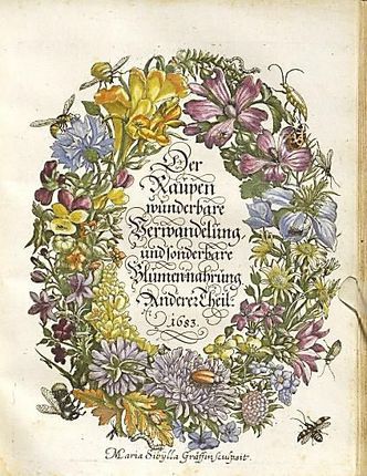 Titelkupfer des Zweiten Raupenbuchs Titelkupfer des Zweiten Raupenbuchs