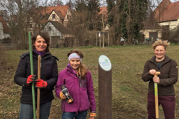 Blühfläche Großgründlach 