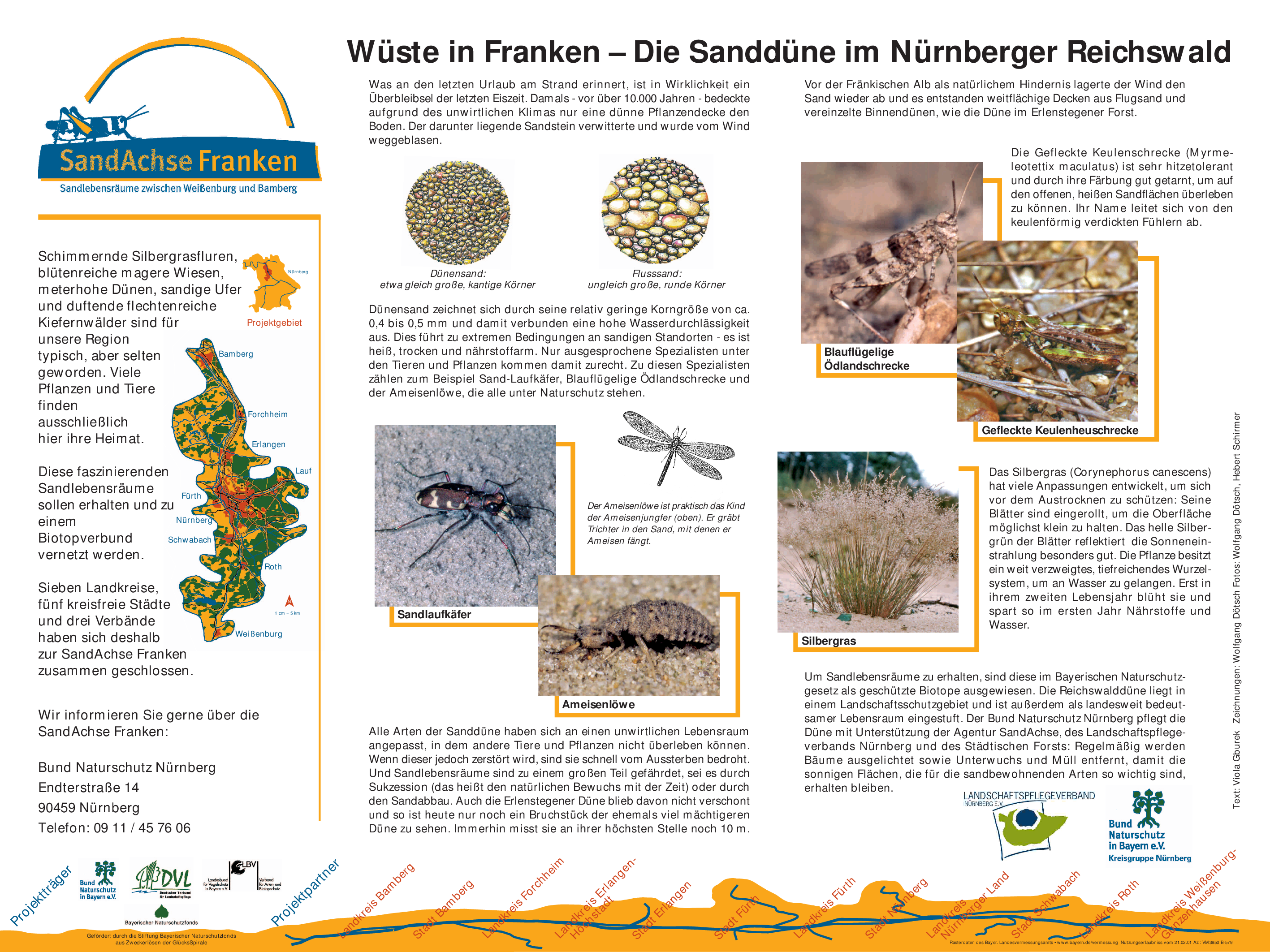 Sanddune Erlenstegen Bund Naturschutz In Bayern E V