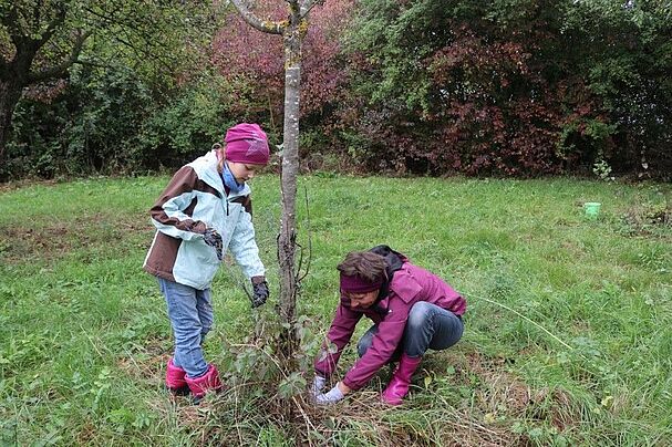 Streuobstwiese Kleingründlach