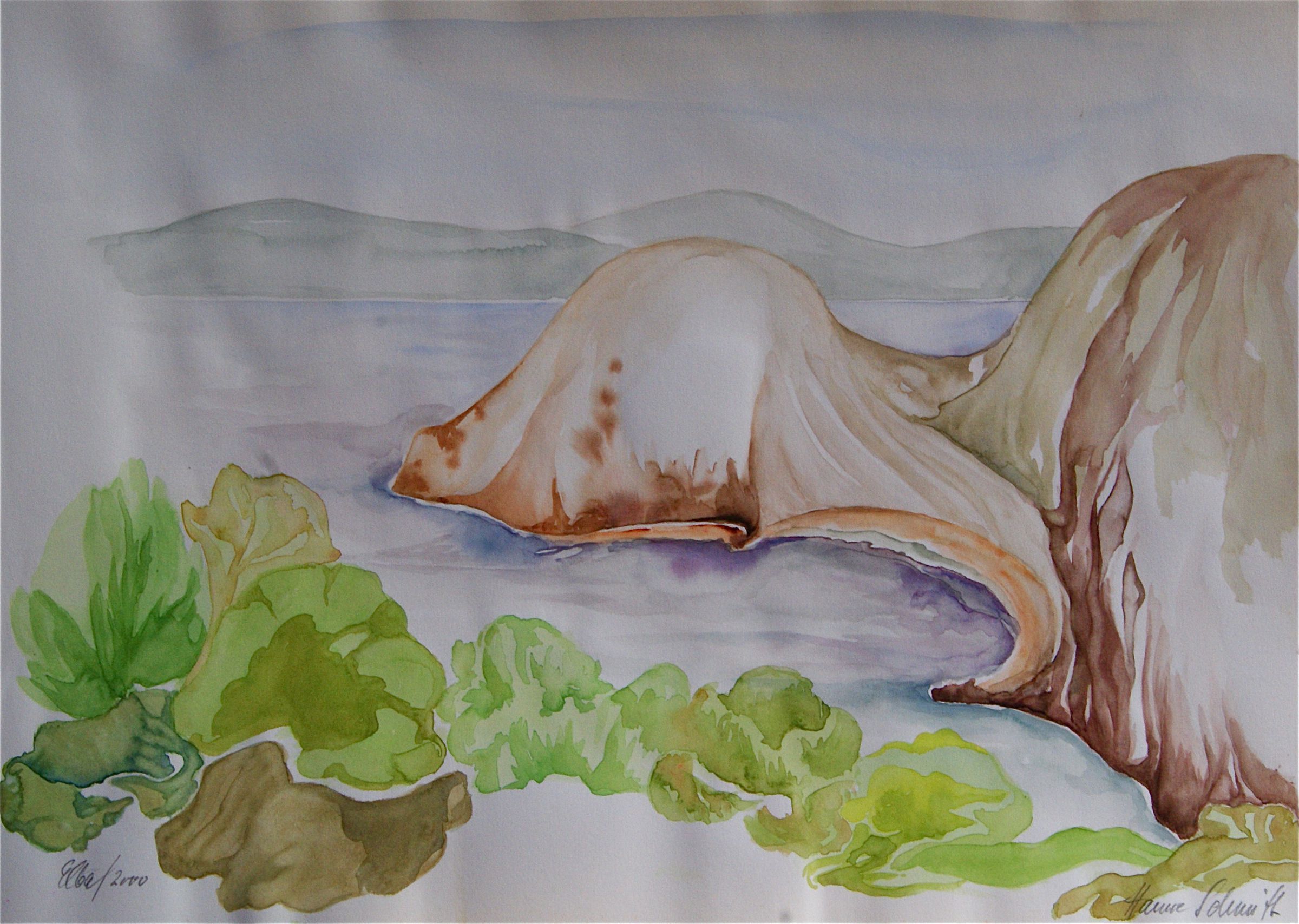 Elba: Bietola Elba: Bietola