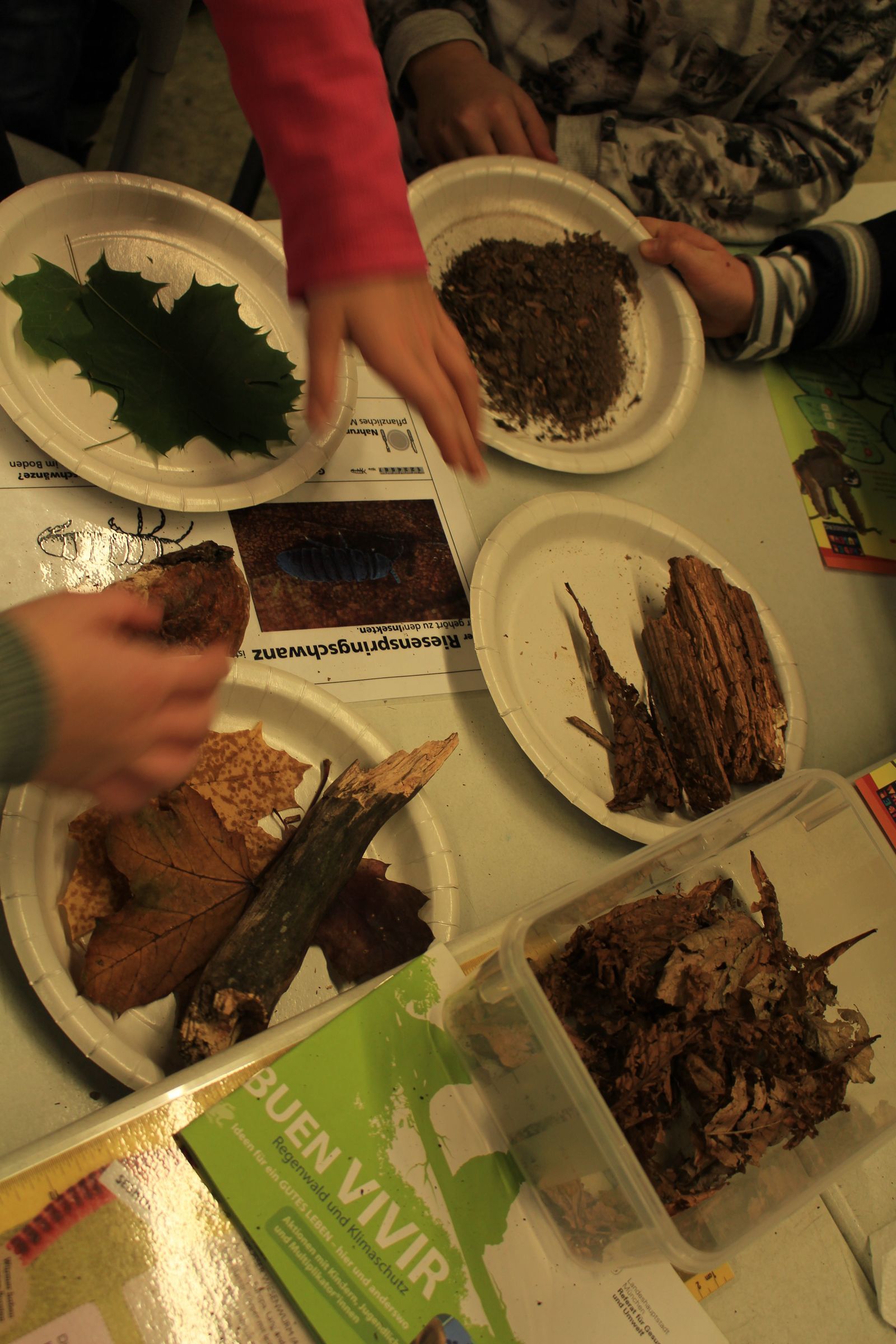Station Bodenleben: „Die Blätter fallen runter. Sie zerbröseln zu Skeletten.“ 