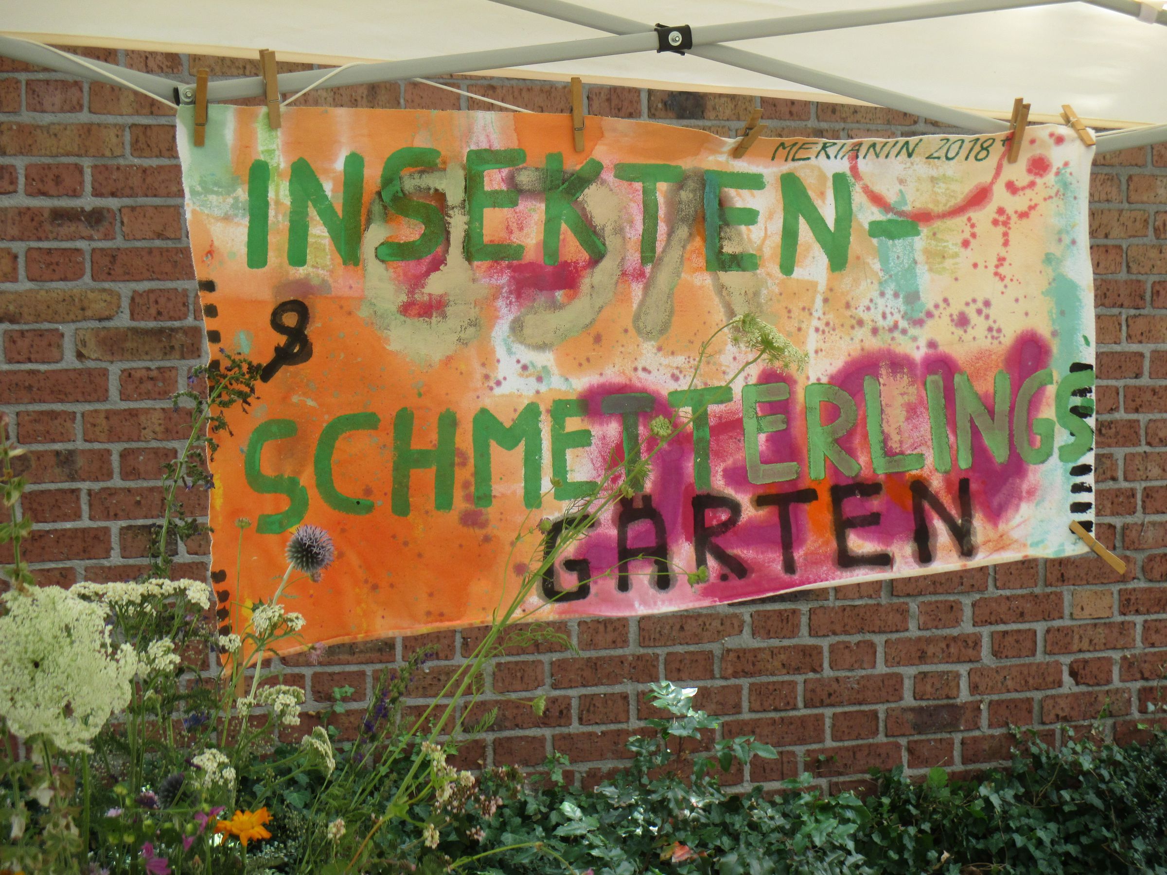 Insekten- und Schmetterlingsgarten