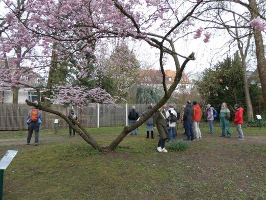 Führung Hummelsteiner Park (Foto: Ingrid Treuter)