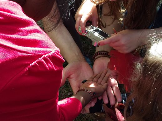 Naturerforschung (B. Philipp)