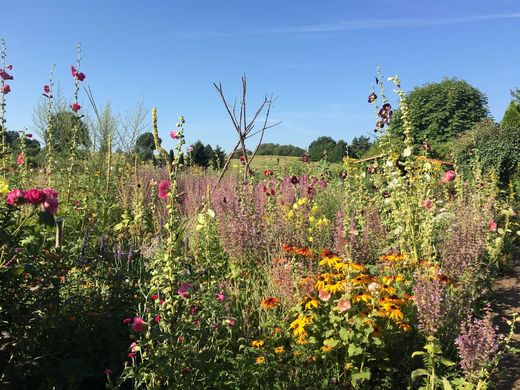 Naturnaher Garten