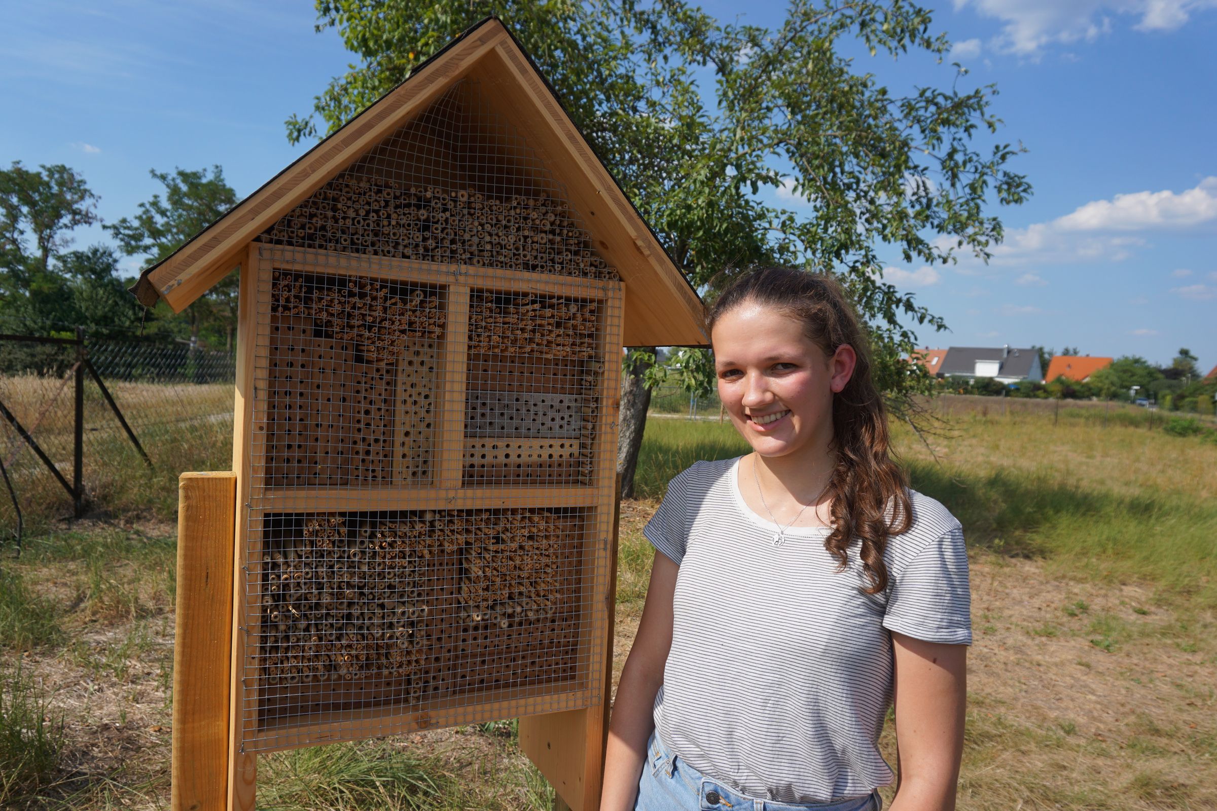 Insektenhotel Insektenhotel