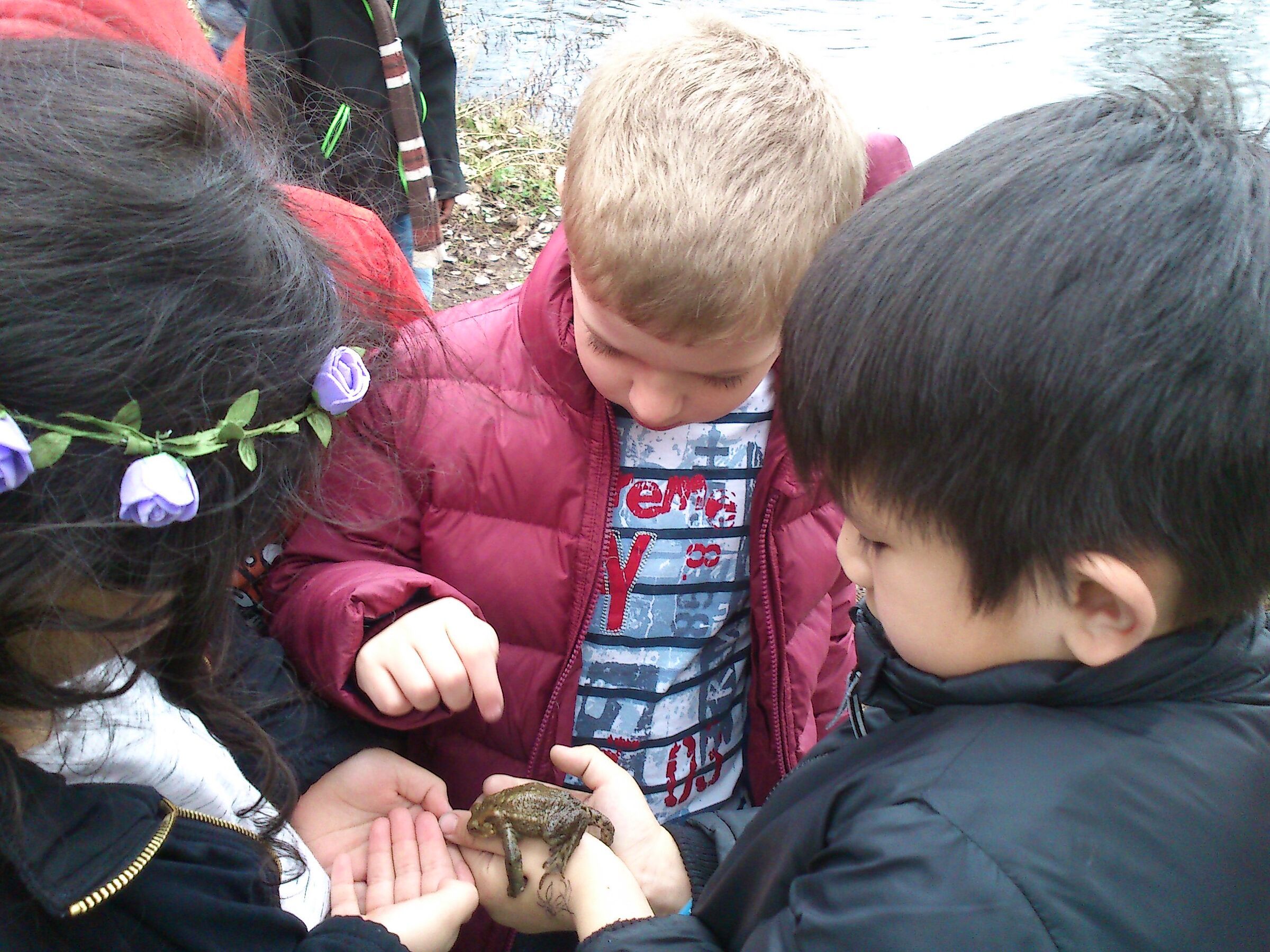 Kinder mit Kröte (Foto: Barbara Philipp) Kinder mit Kröte