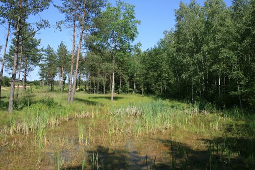 Naturschutzgebiet Föhrenbuck (Foto: Wolfgang Dötsch)