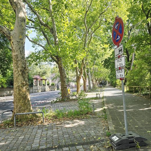 Platanenallee am Prinzregentenufer mit Parkverbotsschild
