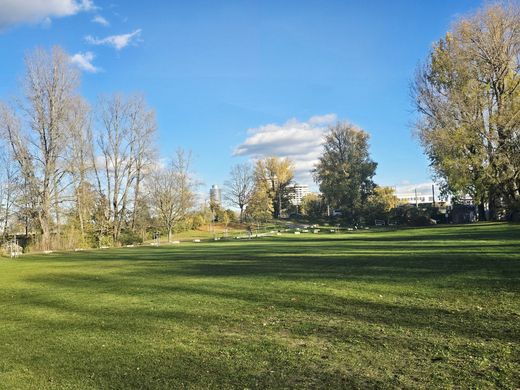 Wöhrder Wiese (Foto: Klaus-Peter Murawski)